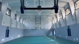palestra