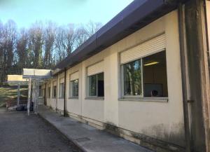 Istituto Avigliana (Foto di repertorio)