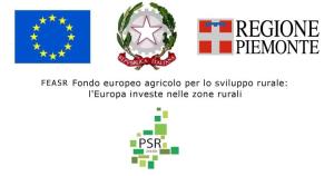 PSR 2024-2020 Logo
