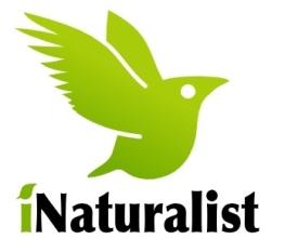 Logo applicazione iNaturalist