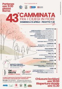 Camminata fra i Ciliegi in Fiore Pecetto 12 aprile 2016