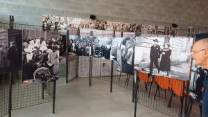 Esposizione a Borgomanero