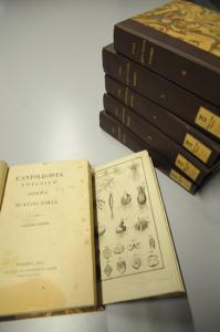 L'antolegista botanico di Luigi Colla