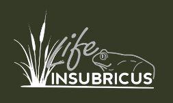 Immagine Logo Life Insubricus