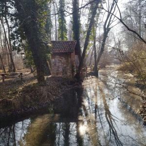 Palude adiacente al Lago di Candia (immagine di repertorio).