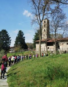 pellegrini Via Francigena