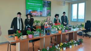 presentazione Messer Tulipano 2026