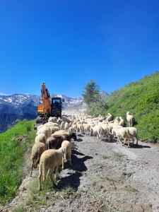 strada dell'Assietta