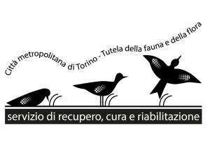 Città metropolitana di Torino - Tutela della fauna e della flora - servizio di recupero, cura e riabilitazione