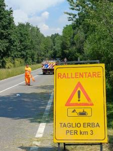 Taglio erba su Strade Provinciali Torino