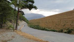 vallo paramassi Strada Provinciale 216 Melezet 31 luglio 2026
