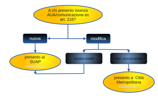 Diagramma flusso se presentare una comunicazione ex. art. 216 o un'istanza di AUA