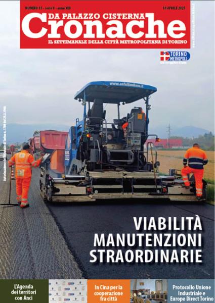 Copertina Cronache num 15