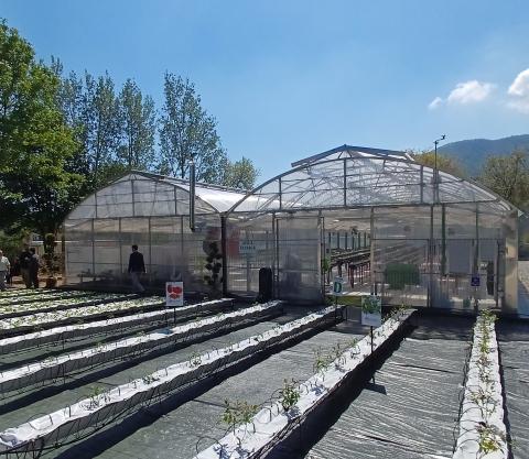 la nuova serra idroponica