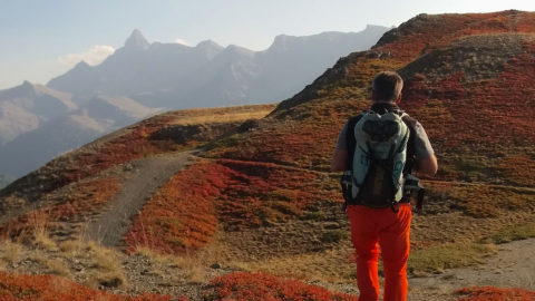 Locandina cronache num 34