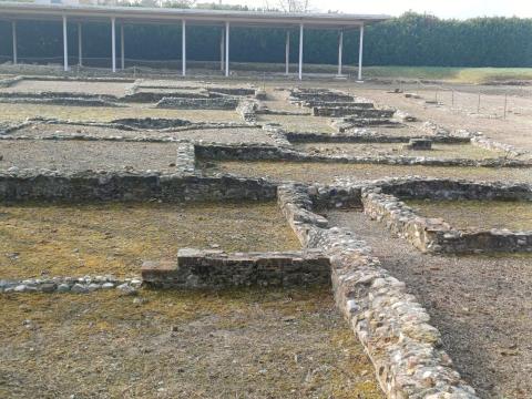 Gli scavi archeologici di "Industria" a Monteu da Po