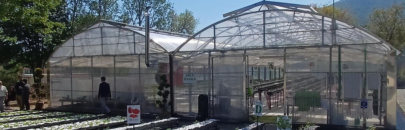 la nuova serra idroponica