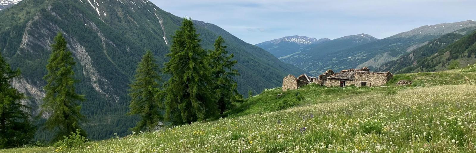 Paesaggio montano